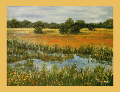 Mooi Drenthe