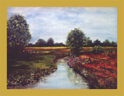 Koeien langs de Drentse A