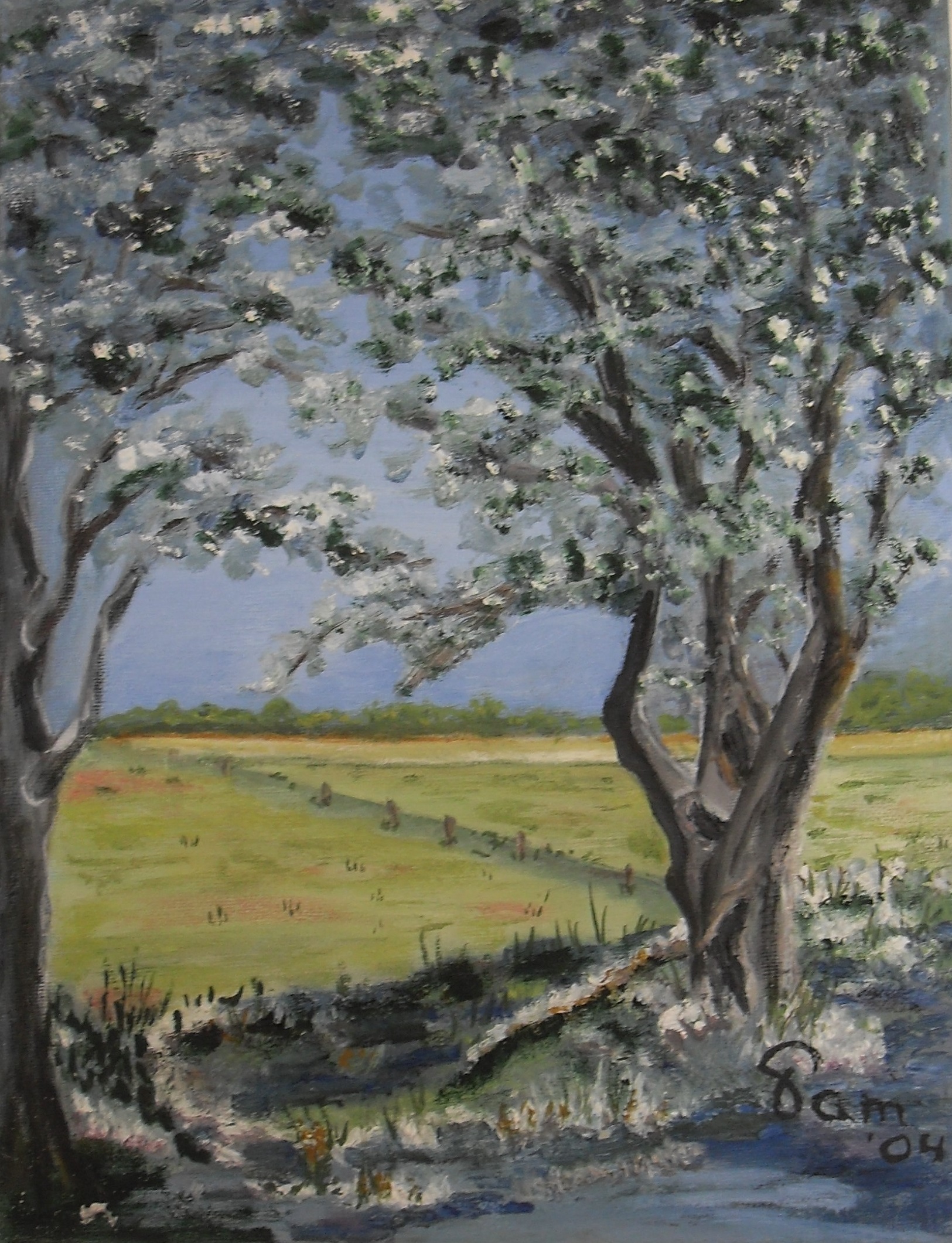 275-Boom naast sloot