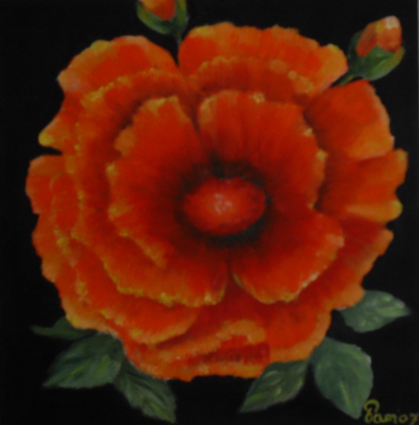 302-Oranje roos 2